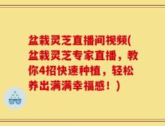 盆栽灵芝直播间视频(盆栽灵芝专家直播，教你4招快速种植，轻松养出满满幸福感！)