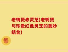老鸭煲赤灵芝(老鸭煲与珍贵红色灵芝的美妙结合)