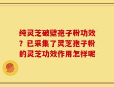 纯灵芝破壁孢子粉功效？已采集了灵芝孢子粉的灵芝功效作用怎样呢