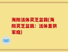 海阳活体灵芝盆栽(海阳灵芝盆栽：活体直供家庭)