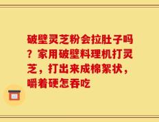 破壁灵芝粉会拉肚子吗？家用破壁料理机打灵芝，打出来成棉絮状，嚼着硬怎吞吃