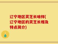 辽宁地区灵芝长啥样(辽宁地区的灵芝长相及特点简介)