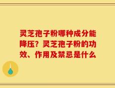灵芝孢子粉哪种成分能降压？灵芝孢子粉的功效、作用及禁忌是什么