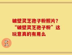 破壁灵芝孢子粉照片？“破壁灵芝孢子粉”这玩意真的有用么