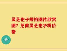 灵芝孢子规格图片欣赏图？芝甫灵芝孢孑粉价格