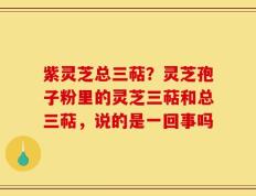 紫灵芝总三萜？灵芝孢子粉里的灵芝三萜和总三萜，说的是一回事吗
