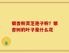 银杏粉灵芝孢子粉？银杏树的叶子是什么花