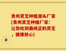 贵州灵芝种植源头厂家(贵州灵芝种植厂家：让你吃到最纯正的灵芝，健康放心)