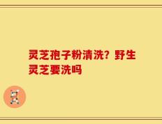灵芝孢子粉清洗？野生灵芝要洗吗