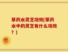 草药水灵芝功效(草药水中的灵芝有什么功效？)