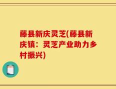 藤县新庆灵芝(藤县新庆镇：灵芝产业助力乡村振兴)