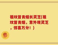 祖坟冒青烟长灵芝(祖坟冒青烟，意外现灵芝，惊喜万分！)
