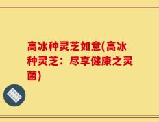 高冰种灵芝如意(高冰种灵芝：尽享健康之灵菌)