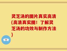 灵芝汤的图片真实高清(高清真实图！了解灵芝汤的功效与制作方法)