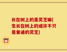 长在树上的是灵芝嘛(生长在树上的或许不只是普通的灵芝)