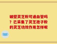 破壁灵芝粉可通血管吗？已采集了灵芝孢子粉的灵芝功效作用怎样呢