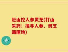 赶山挖人参灵芝(打山采药：搜寻人参、灵芝藏匿地)