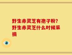 野生赤灵芝有孢子粉？野生赤灵芝什么时候采摘