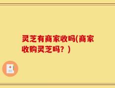 灵芝有商家收吗(商家收购灵芝吗？)