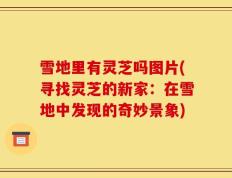 雪地里有灵芝吗图片(寻找灵芝的新家：在雪地中发现的奇妙景象)