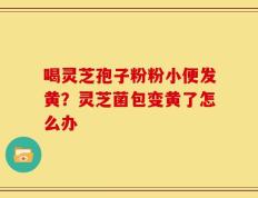 喝灵芝孢子粉粉小便发黄？灵芝菌包变黄了怎么办