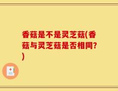 香菇是不是灵芝菇(香菇与灵芝菇是否相同？)