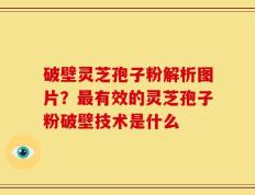 破壁灵芝孢子粉解析图片？最有效的灵芝孢子粉破壁技术是什么