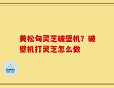 黄松甸灵芝破壁机？破壁机打灵芝怎么做