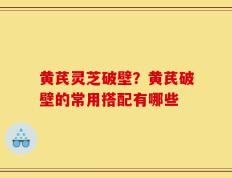 黄芪灵芝破壁？黄芪破壁的常用搭配有哪些
