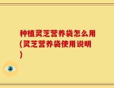 种植灵芝营养袋怎么用(灵芝营养袋使用说明)