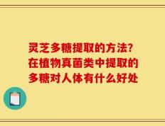 灵芝多糖提取的方法？在植物真菌类中提取的多糖对人体有什么好处