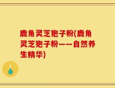鹿角灵芝狍子粉(鹿角灵芝狍子粉——自然养生精华)