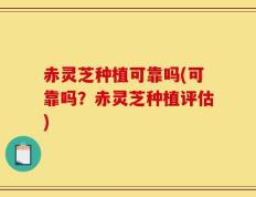 赤灵芝种植可靠吗(可靠吗？赤灵芝种植评估)