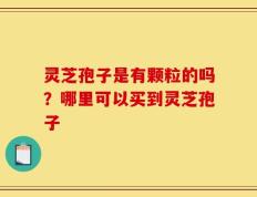 灵芝孢子是有颗粒的吗？哪里可以买到灵芝孢子