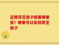 正规灵芝孢子胶囊哪里买？哪里可以买到灵芝孢子