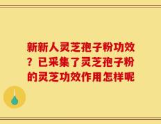 新新人灵芝孢子粉功效？已采集了灵芝孢子粉的灵芝功效作用怎样呢