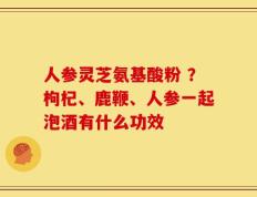 人参灵芝氨基酸粉 ？枸杞、鹿鞭、人参一起泡酒有什么功效