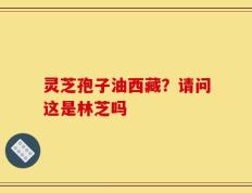 灵芝孢子油西藏？请问这是林芝吗