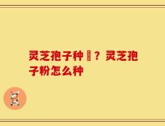 灵芝孢子种稙？灵芝孢子粉怎么种