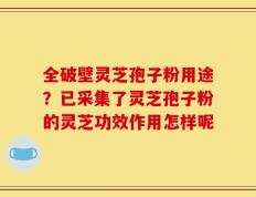 全破壁灵芝孢子粉用途？已采集了灵芝孢子粉的灵芝功效作用怎样呢