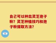 自己可以种出灵芝孢子粉？灵芝种植技巧和孢子粉提取方法？
