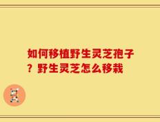 如何移植野生灵芝孢子？野生灵芝怎么移栽