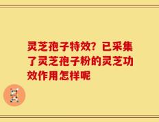 灵芝孢子特效？已采集了灵芝孢子粉的灵芝功效作用怎样呢