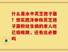 什么是水中灵芝孢子菌？想买西洋参和灵芝孢子菌粉给生病的老人吃已癌晚期，还有这必要吗