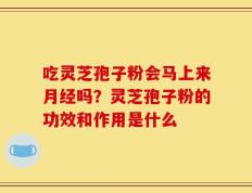 吃灵芝孢子粉会马上来月经吗？灵芝孢子粉的功效和作用是什么