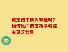灵芝孢子粉入肾经吗？如何推广灵芝孢子粉还有灵芝盆景