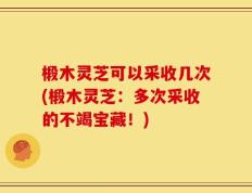 椴木灵芝可以采收几次(椴木灵芝：多次采收的不竭宝藏！)
