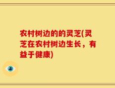 农村树边的的灵芝(灵芝在农村树边生长，有益于健康)