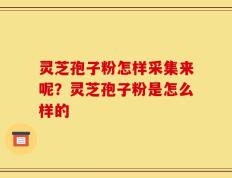 灵芝孢子粉怎样采集来呢？灵芝孢子粉是怎么样的