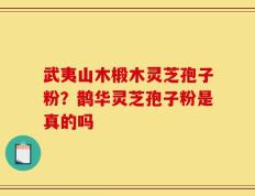 武夷山木椴木灵芝孢子粉？鹊华灵芝孢子粉是真的吗